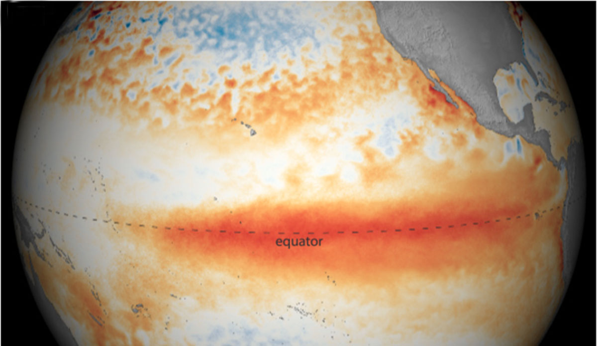 climate models show a good chance of a strong El Niño year.