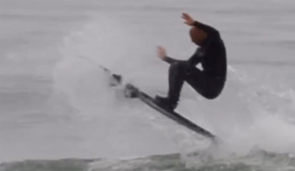 baja koala does shuv-it