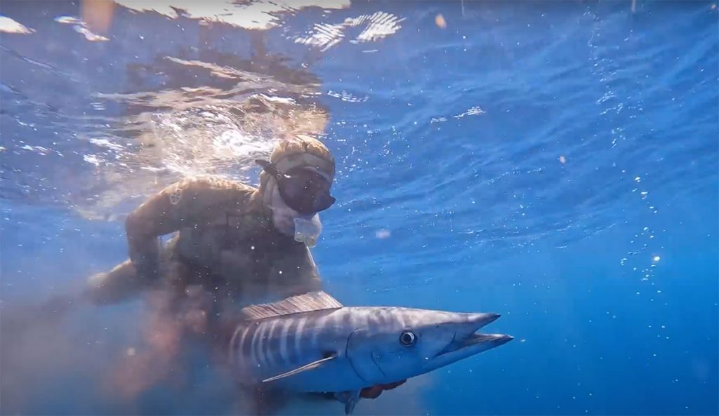 Mark Healey spearfishing for wahoo