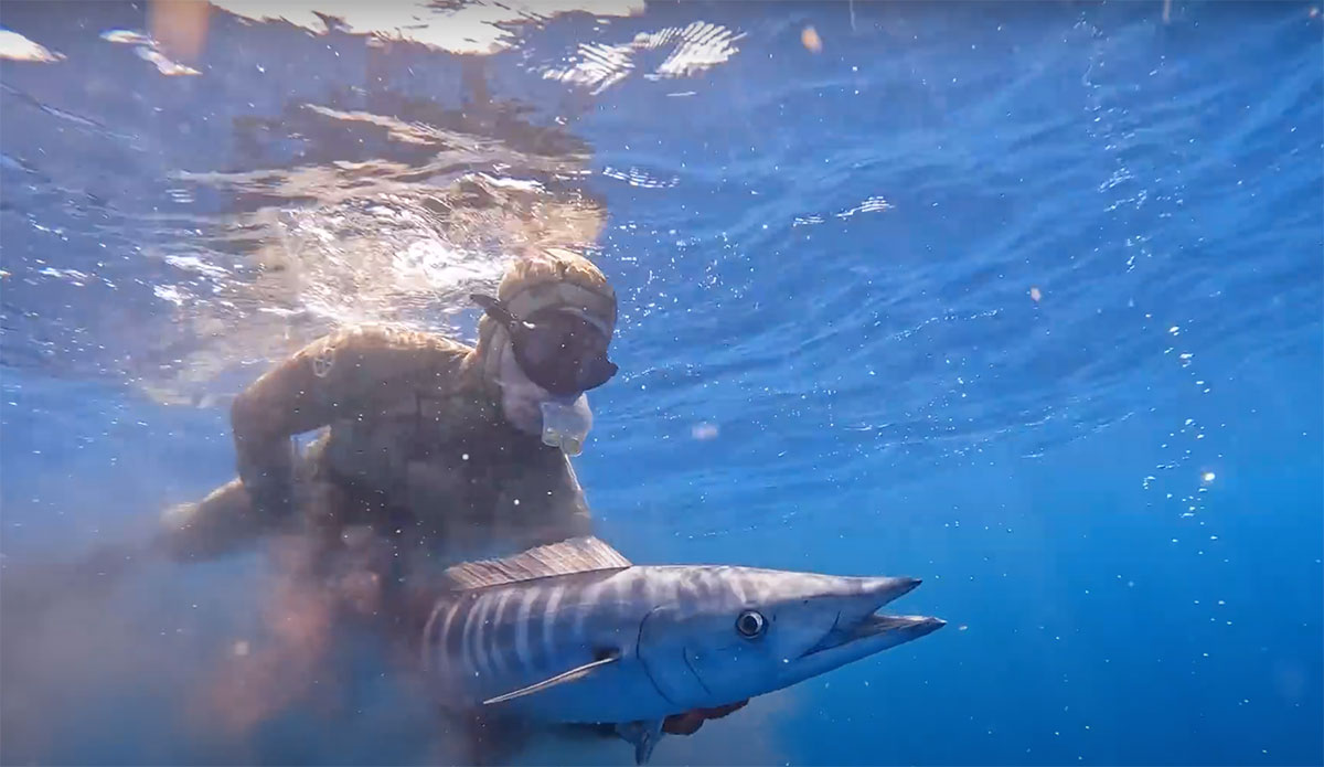 Mark Healey spearfishing for wahoo