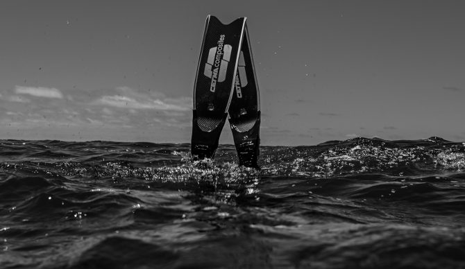 Diving Deep for Lead Removal