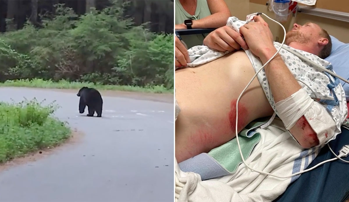 Canadian cyclist after t-boning black bear