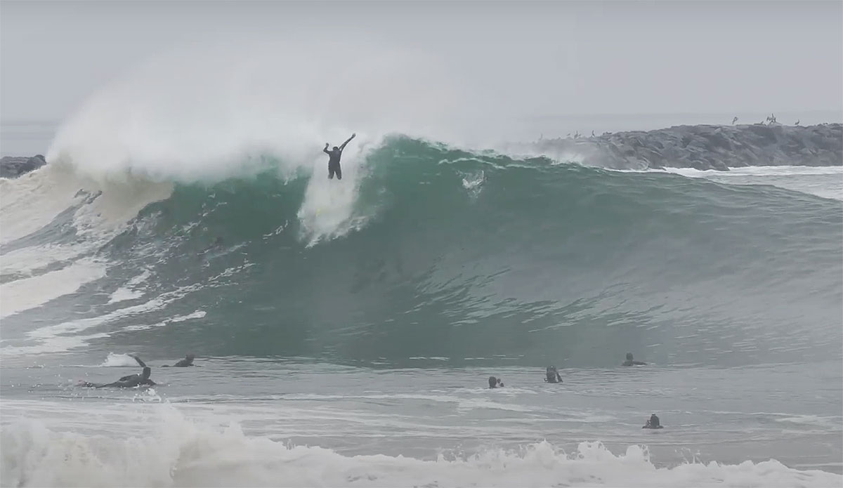 surfing at the Wedge