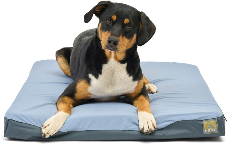 Hest dog bed
