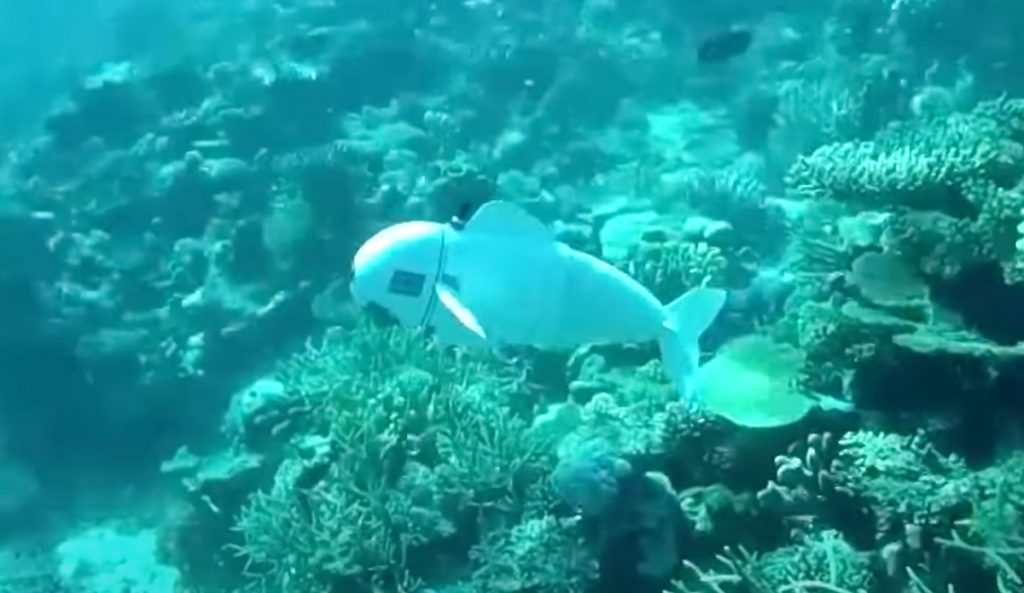 Autonomous robot fish.