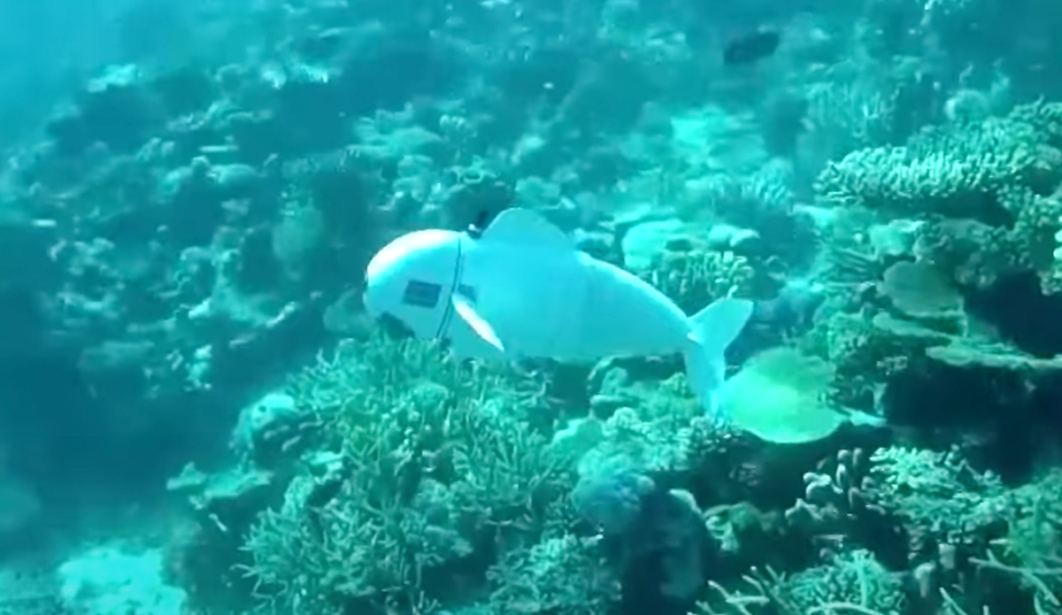 Autonomous robot fish.
