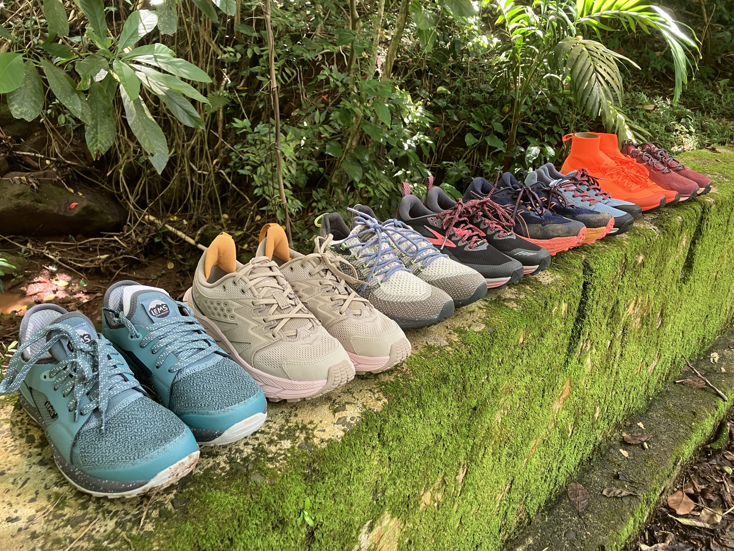 A collection of hiking shoes