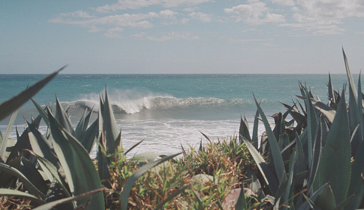 Wave off the coast of Reunion Island.