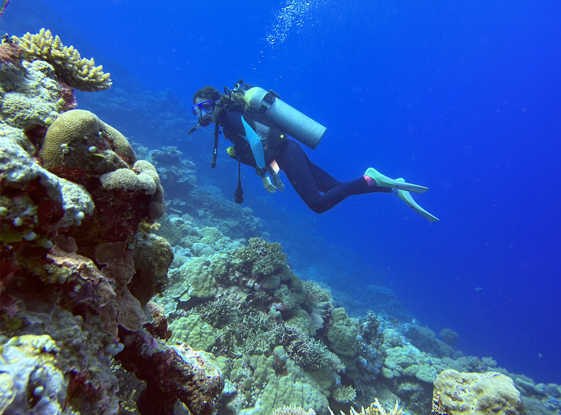 Scuba diver