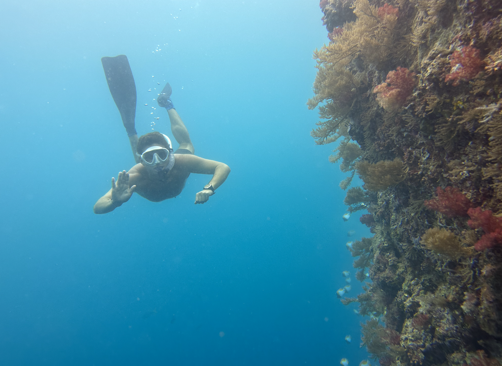 Snorkeler underwater