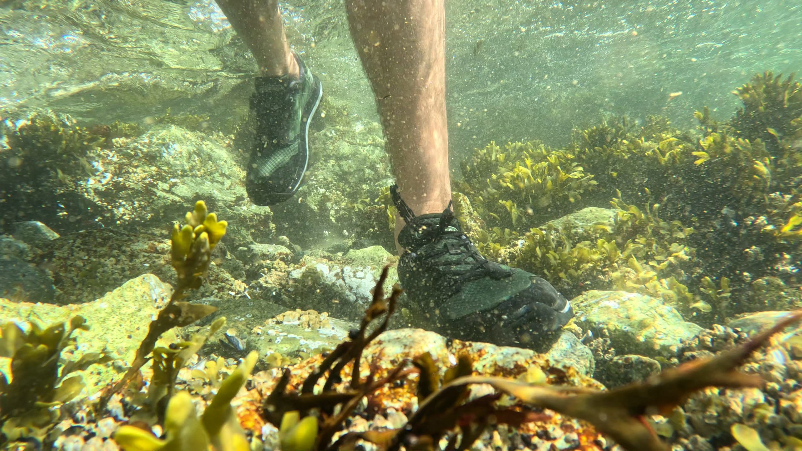 an underwater photo of a man walking on rocks while testing Astral water shoes.
