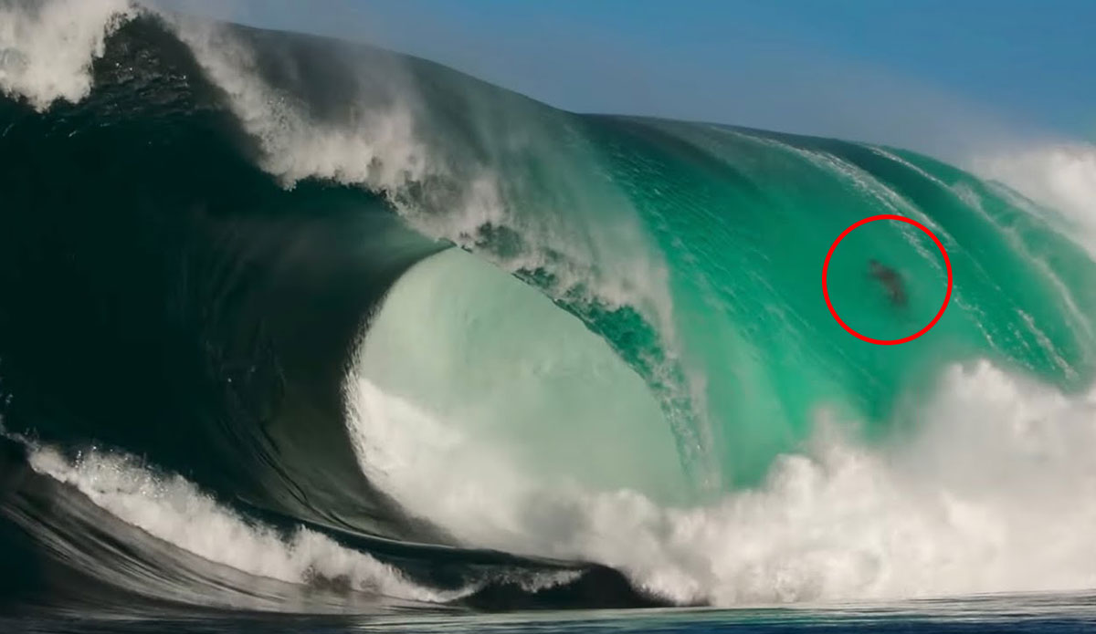 nate florence surfing shipstern bluff