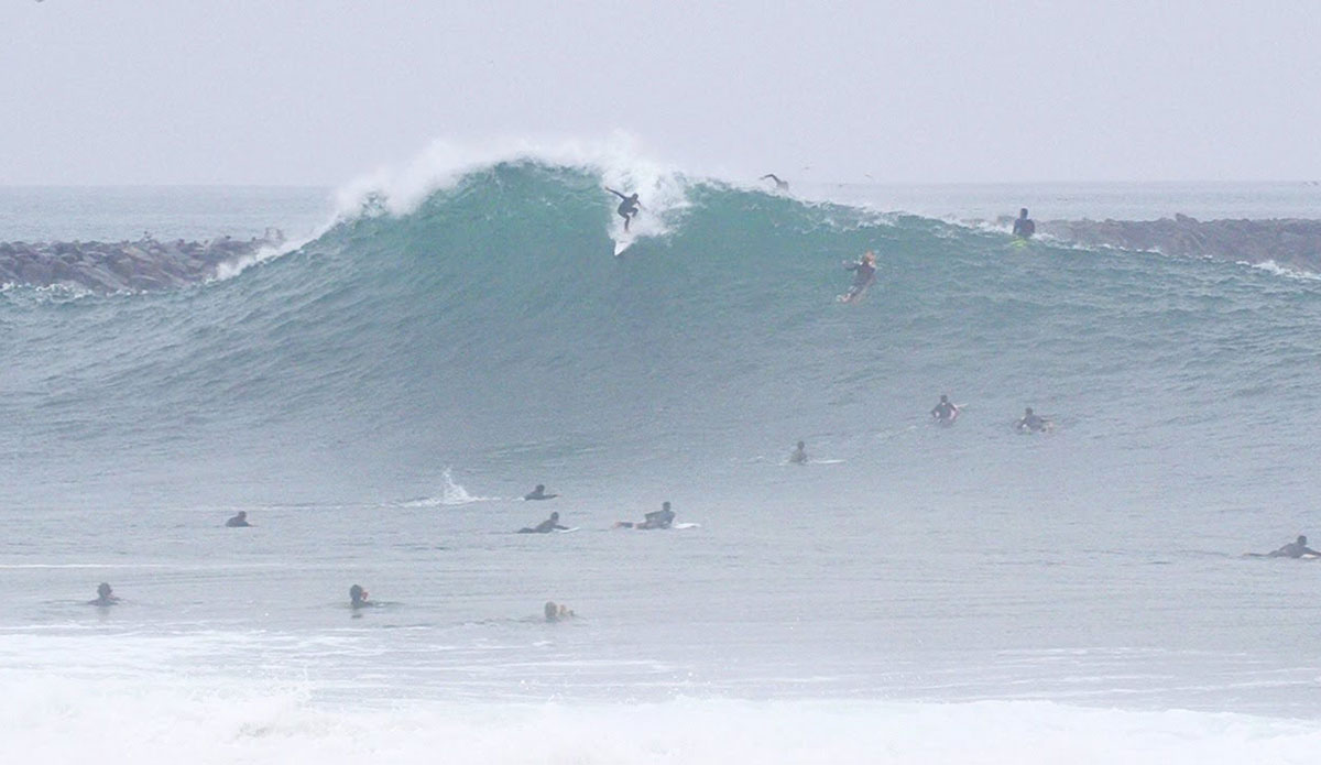 surfing at the Wedge