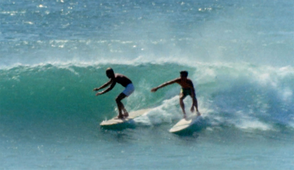 Birth of the Endless Summer film review