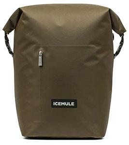 A photo of the Icemule R-jaunt cooler backpack against a white background for our review of the best beach bags.