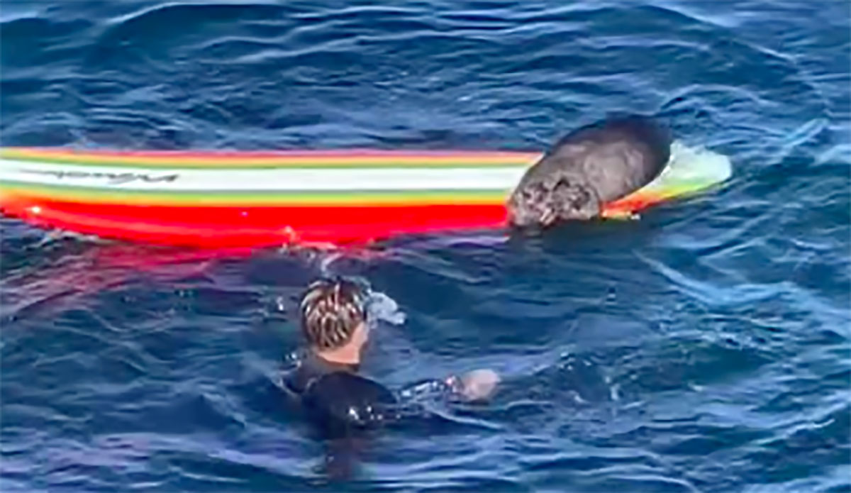 Otter vs. Surfer: Explaining the Recent Spate of Localism Gone Wild