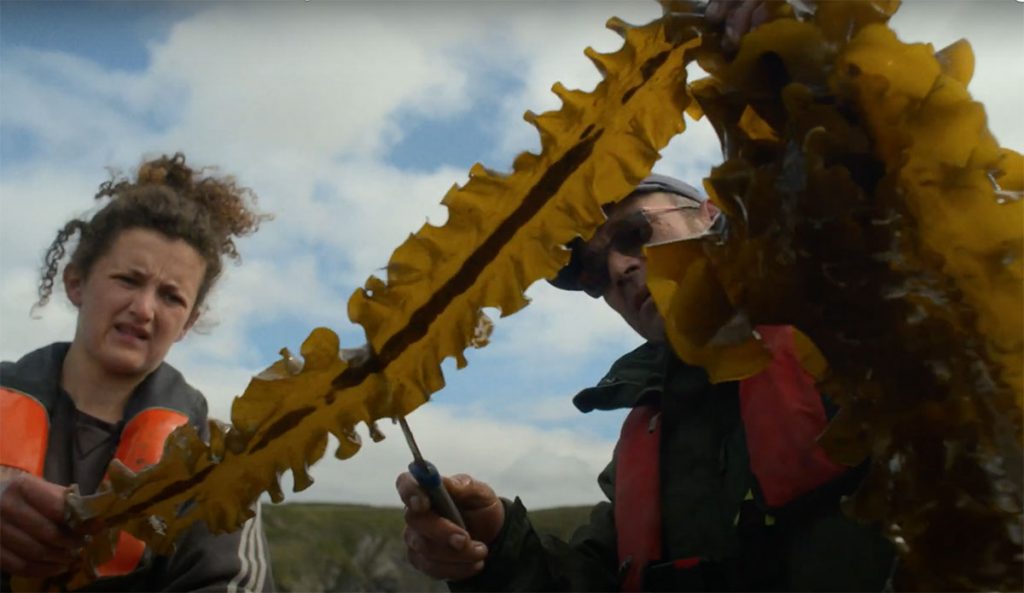 For the Love of the Sea by Patagonia Films