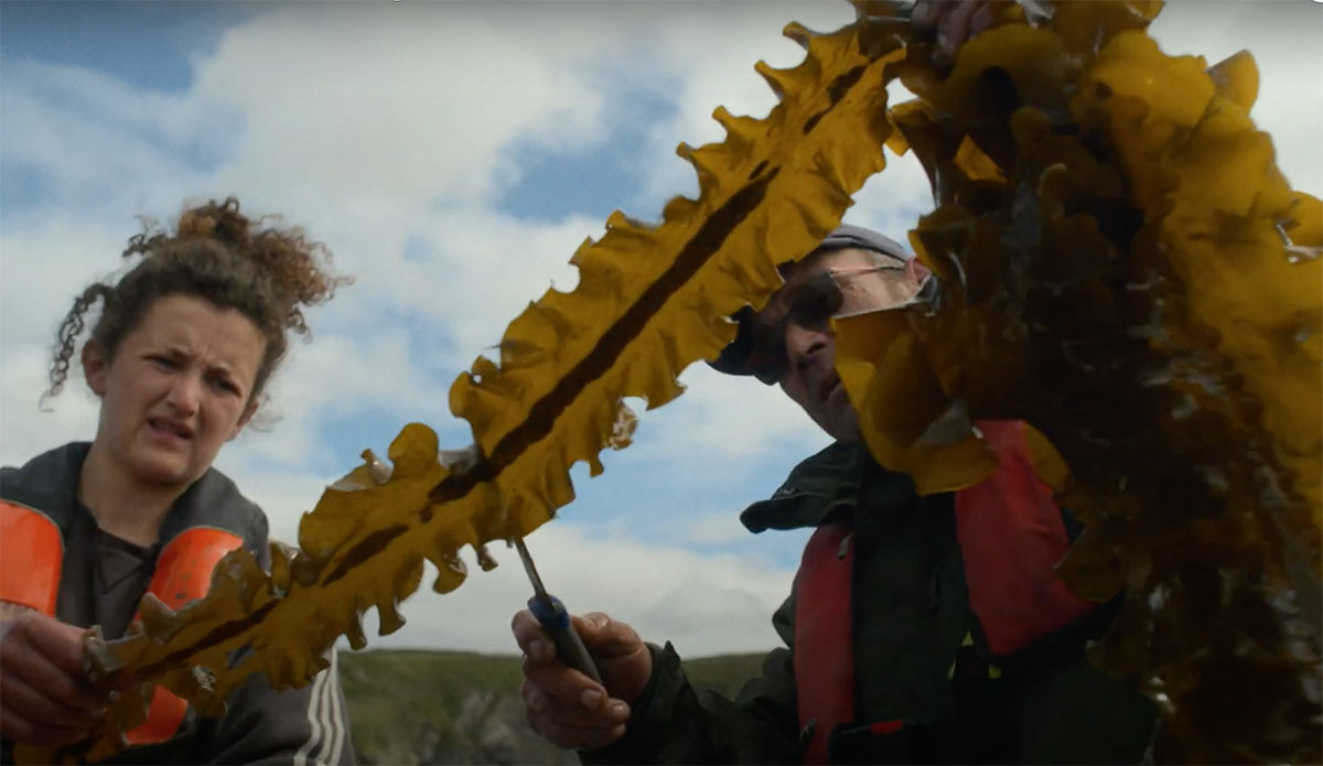 For the Love of the Sea by Patagonia Films