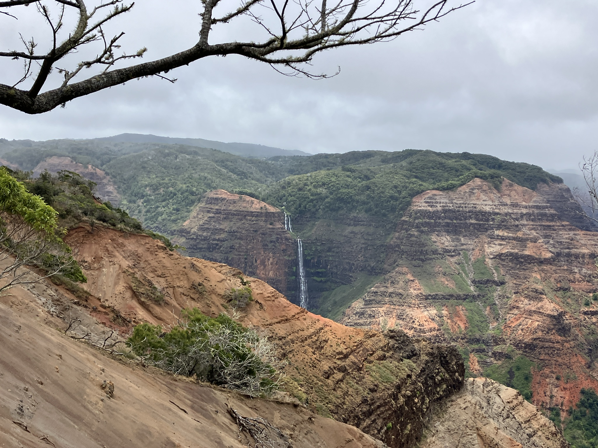 Waimea Canyon, Kauai