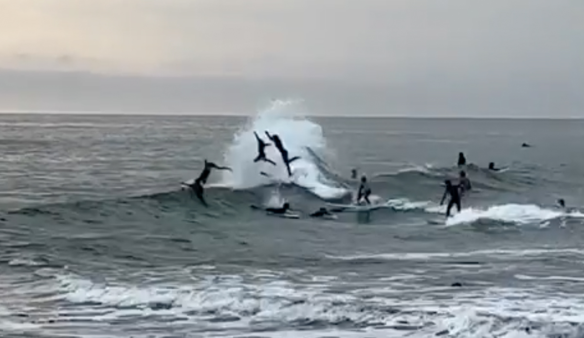 Beacons surfers
