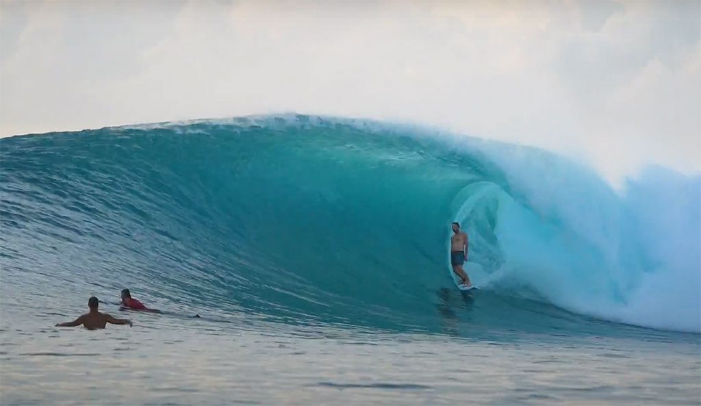 Hollow trees surfing