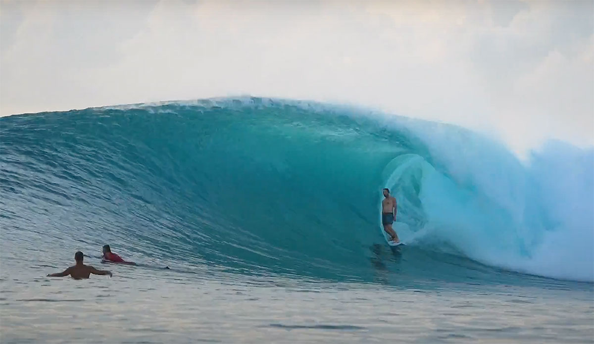 Hollow trees surfing