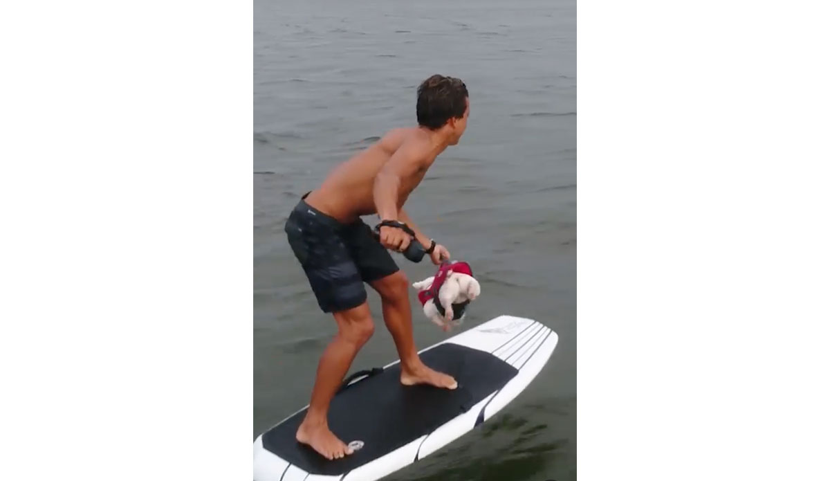 Kai Lenny e-foiling with dog