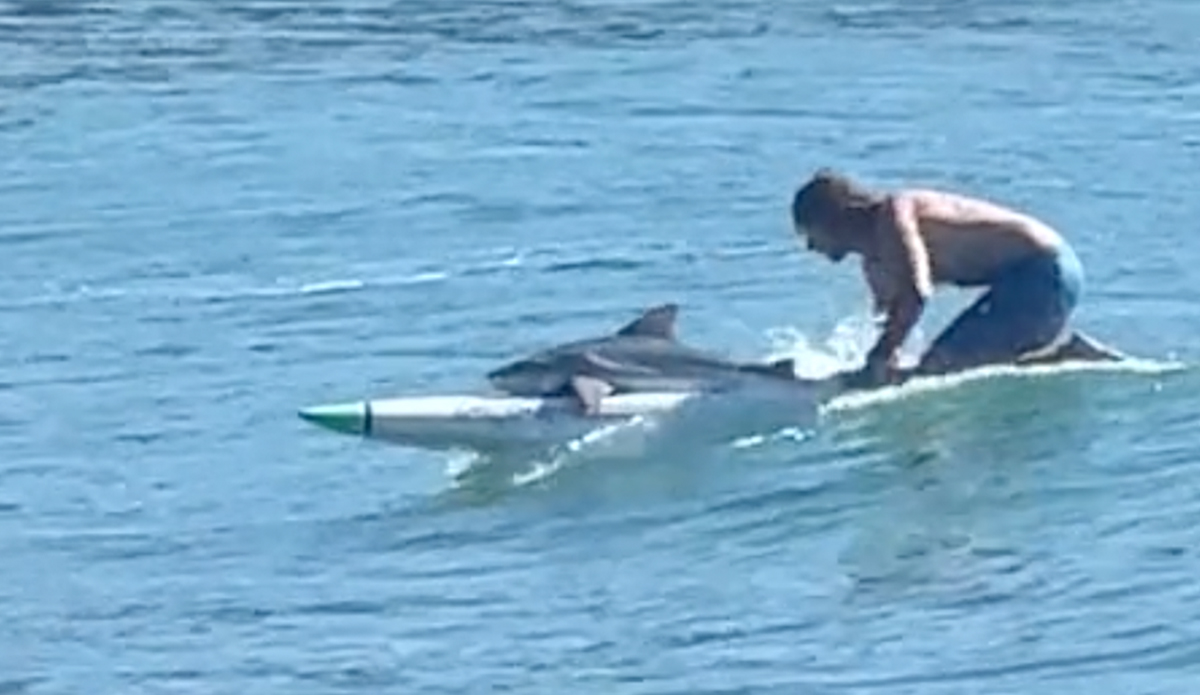 Australian man surfs with shark.
