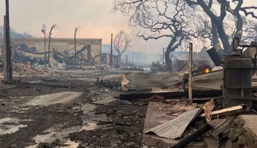 Here's How to Donate to Help Maui Wildfire Victims