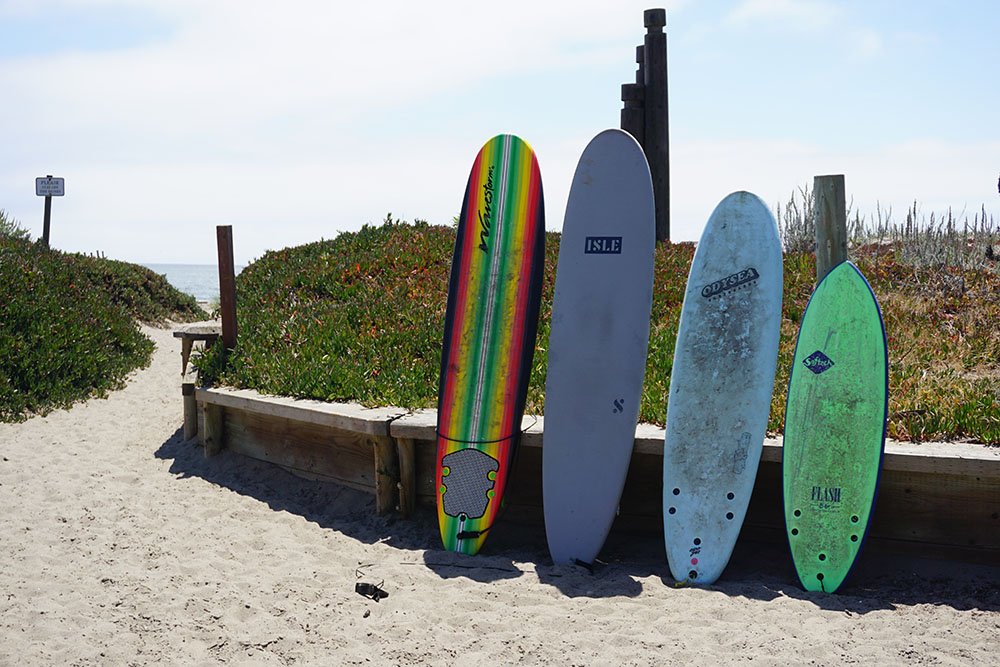 some soft top surfboards lined up next to the beach for our list of the best beginner surfboards.