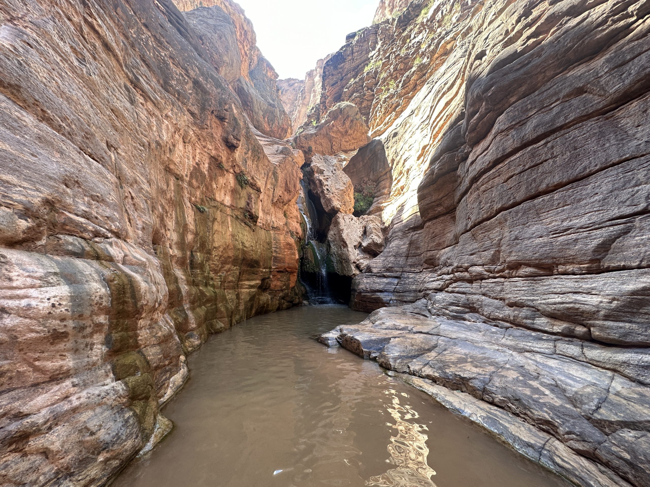 grand canyon