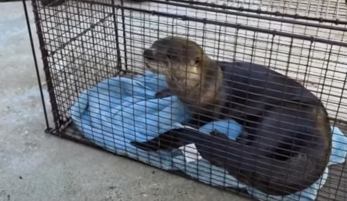 Photo: WPTV News // YouTube