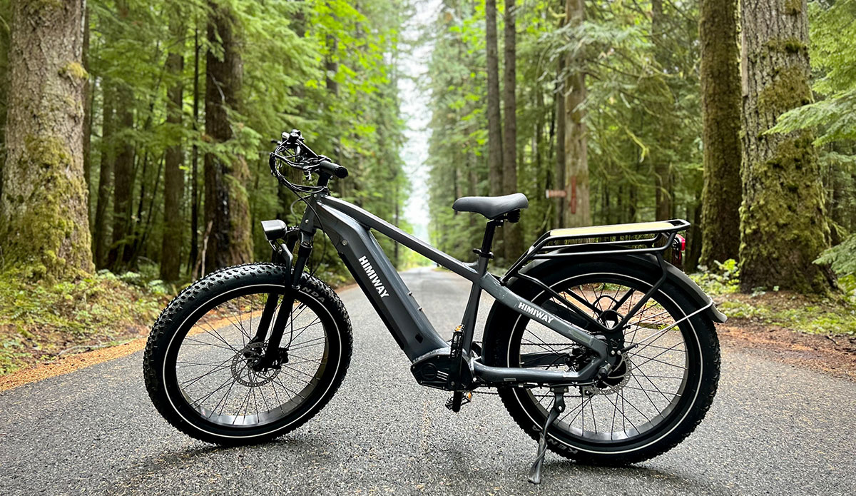 Himiway Zebra e-bike