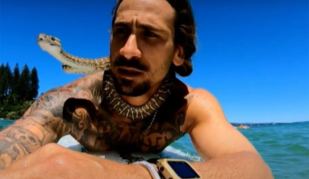 shiva the pet python surfing