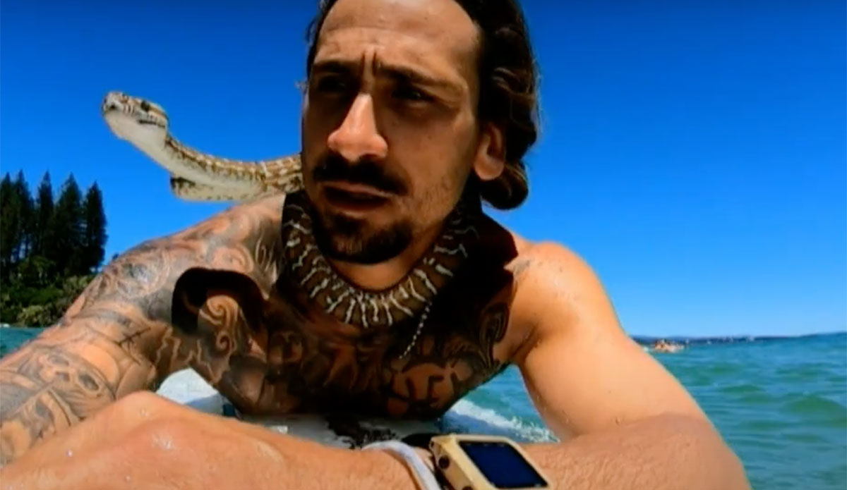 shiva the pet python surfing