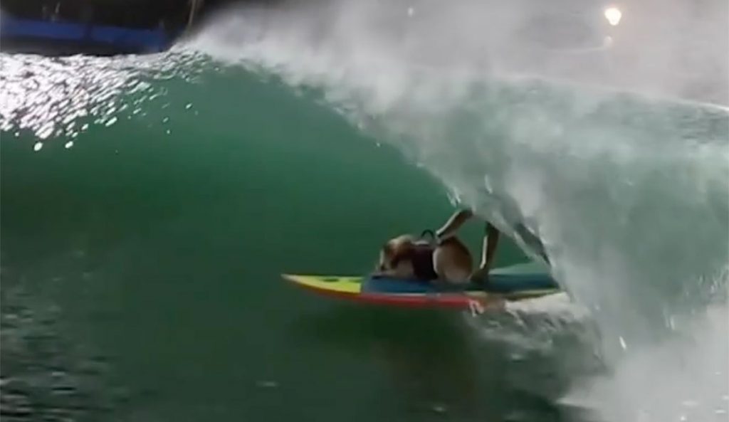 skyler the surfing dog barreled at Surf Ranch