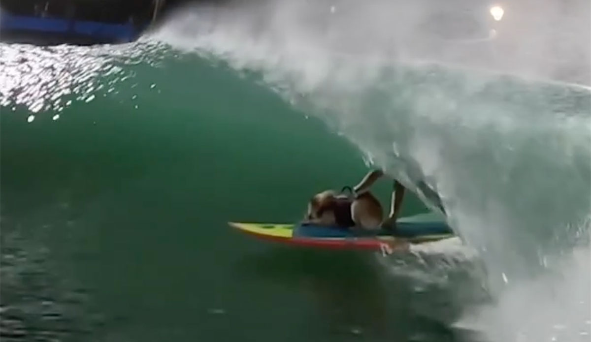 skyler the surfing dog barreled at Surf Ranch