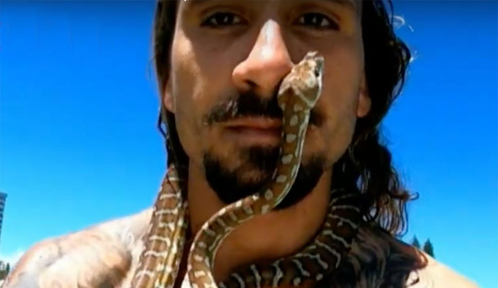 pet python surfing on the Gold Coast