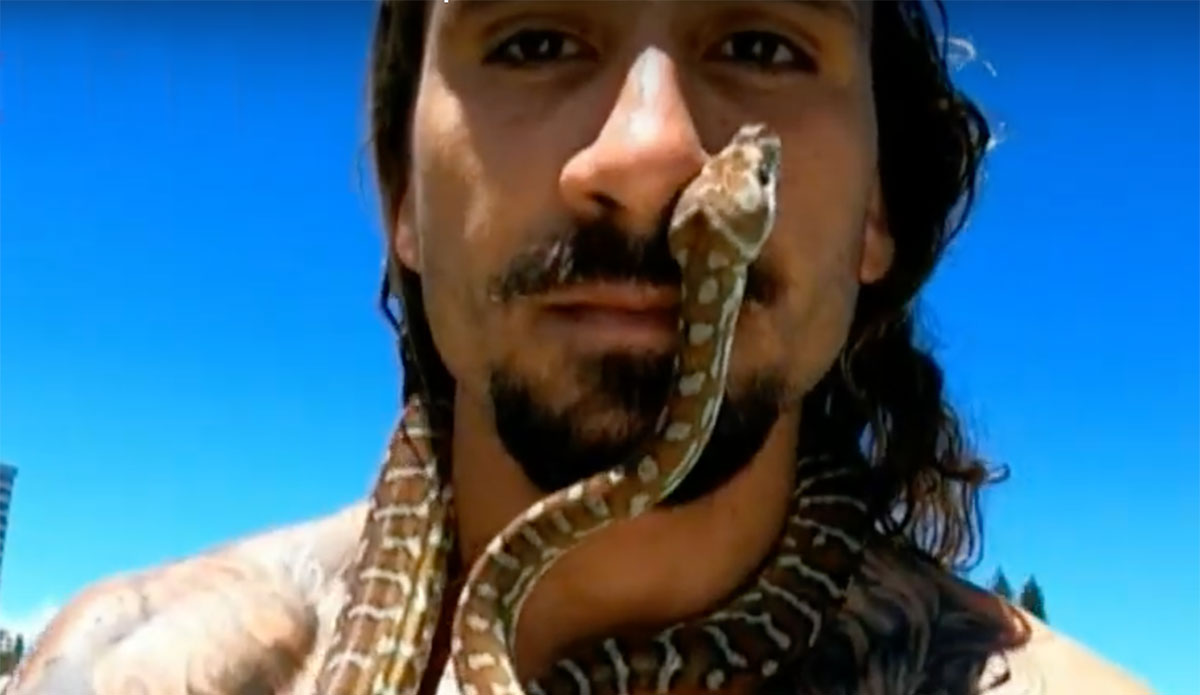 pet python surfing on the Gold Coast