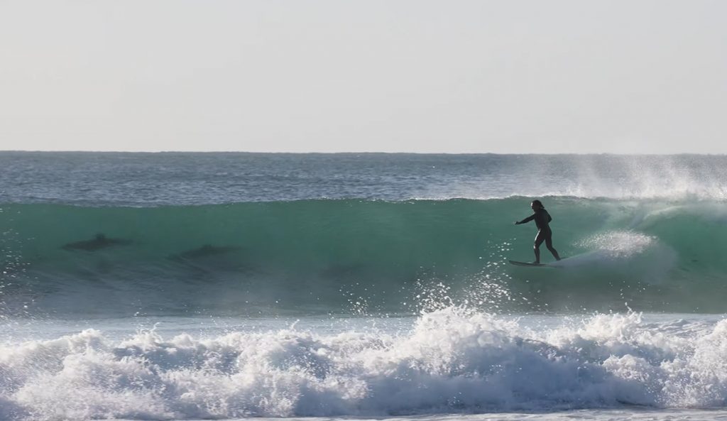 Dolphins share the surfing lineup at J-Bay. Photo: JBAY TV // YouTube