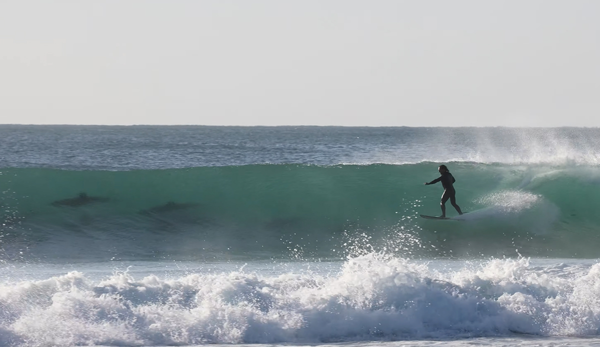 Dolphins share the surfing lineup at J-Bay. Photo: JBAY TV // YouTube
