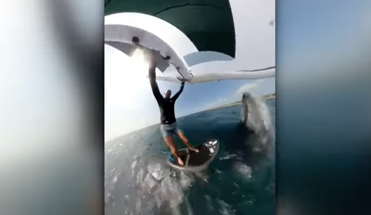 Photo: 7 News Australia // YouTube