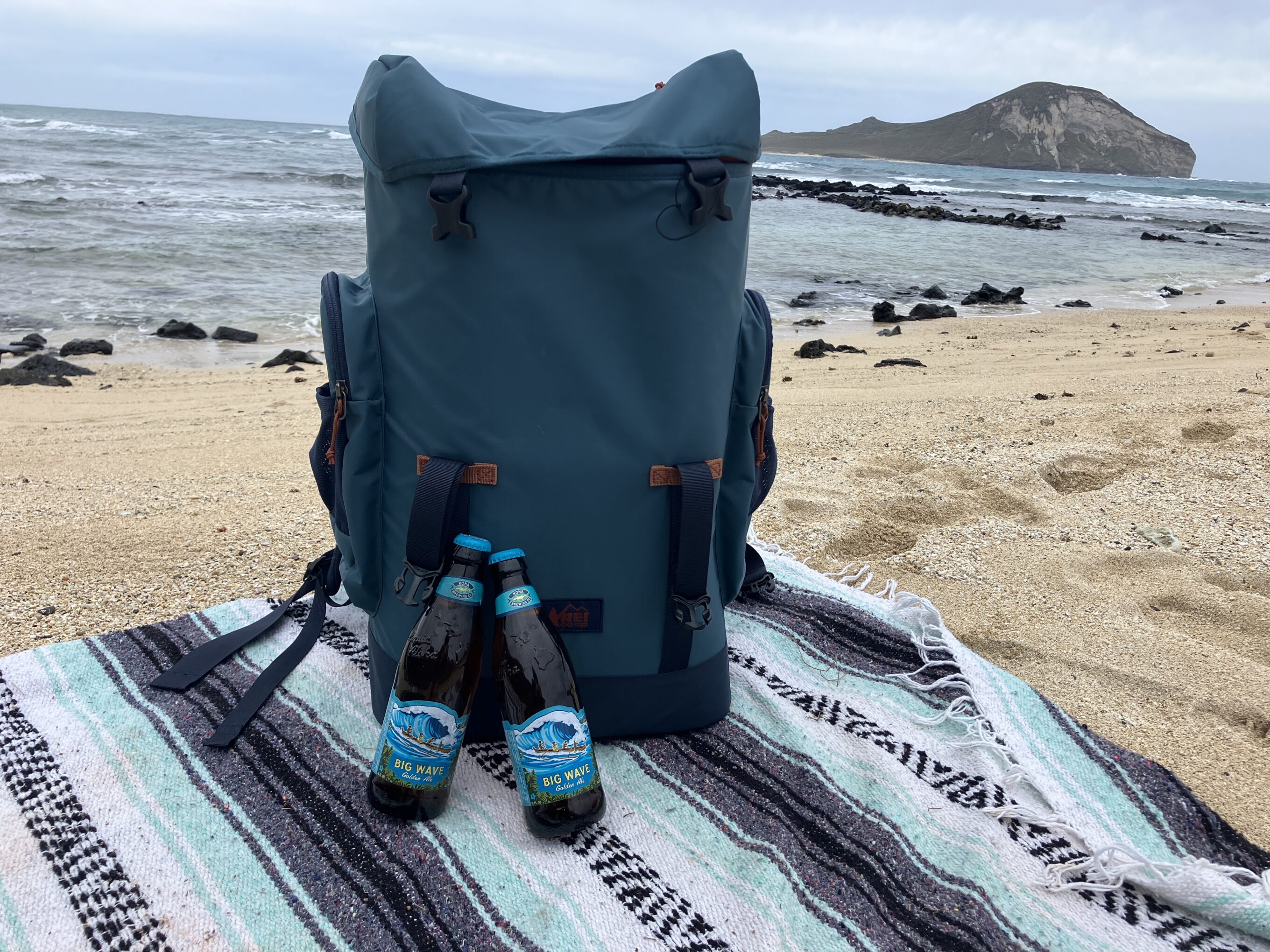 REI backpack cooler