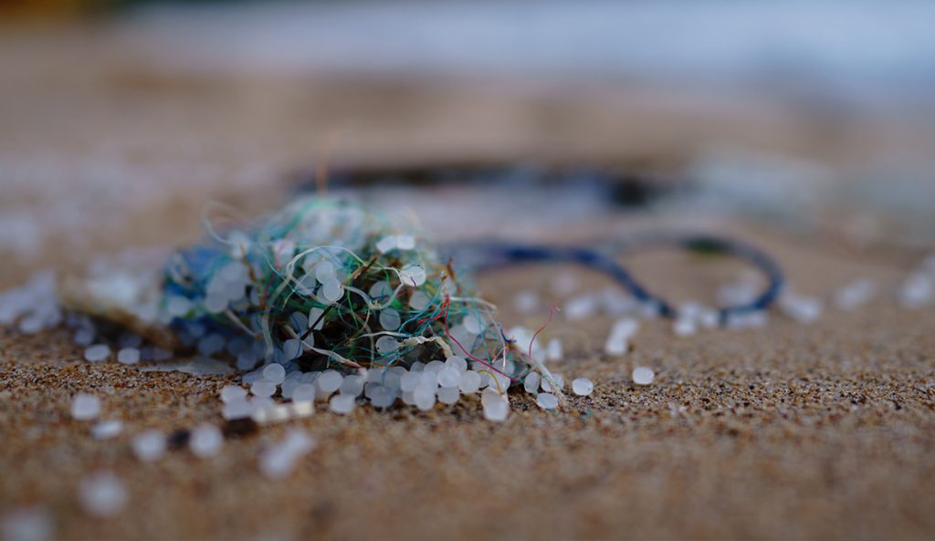 Photo: Sören Funk // Unsplash