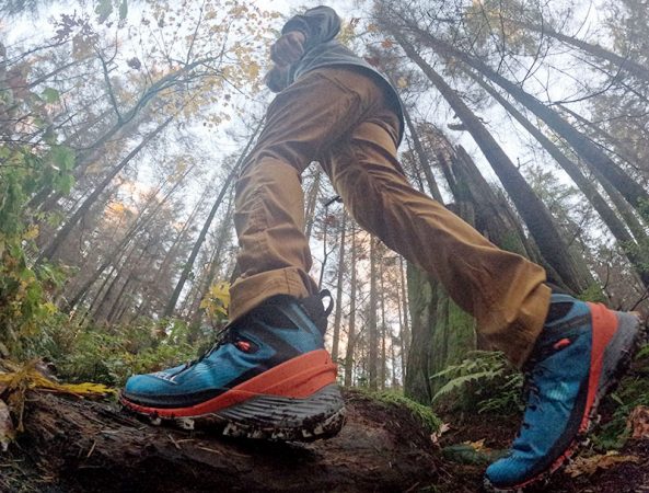 Looking at the Merrell Thermo Rogue 4 GTX hiking boots while hiking in the forest