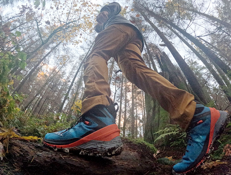 Looking at the Merrell Thermo Rogue 4 GTX hiking boots while hiking in the forest
