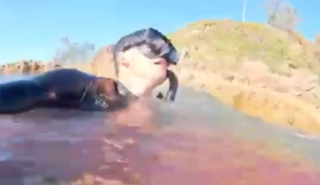 shark attack victim films himself
