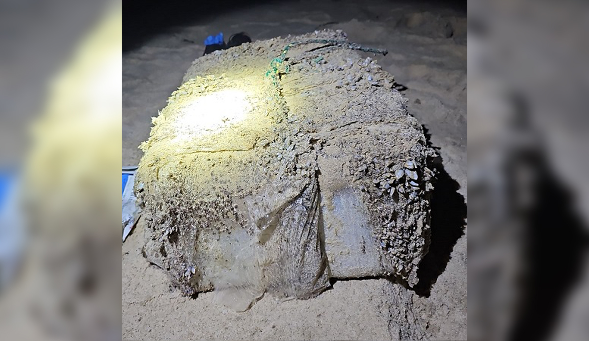 Cocaine washed up on beaches in SNW. Photo: NSW Police Force // X FKA Twitter