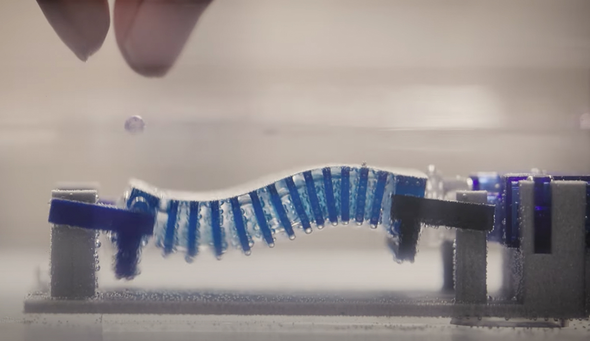 Microplastic eating robot snail. Photo: Cornell University // YouTube