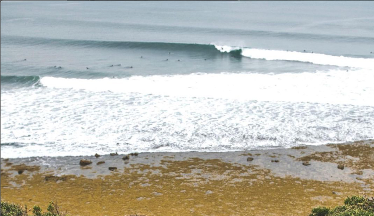 Photo: Ryan Miller // Instagram